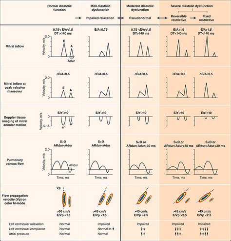 stage 1 diastolic dysfunction